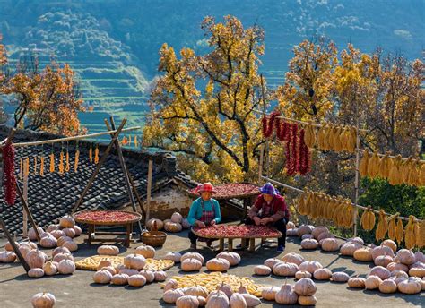 Snap! Policy helps record beauty of rural China - SHINE News