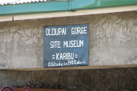 Olduvai Gorge Museum | Artu Expeditions