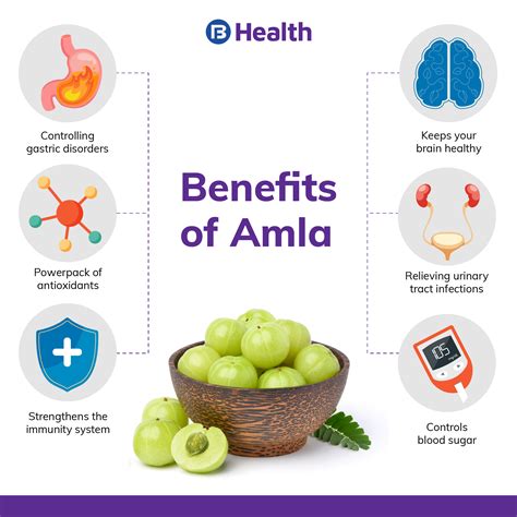 Amla (Gooseberry): Benefits, Nutritional Value, Side Effects