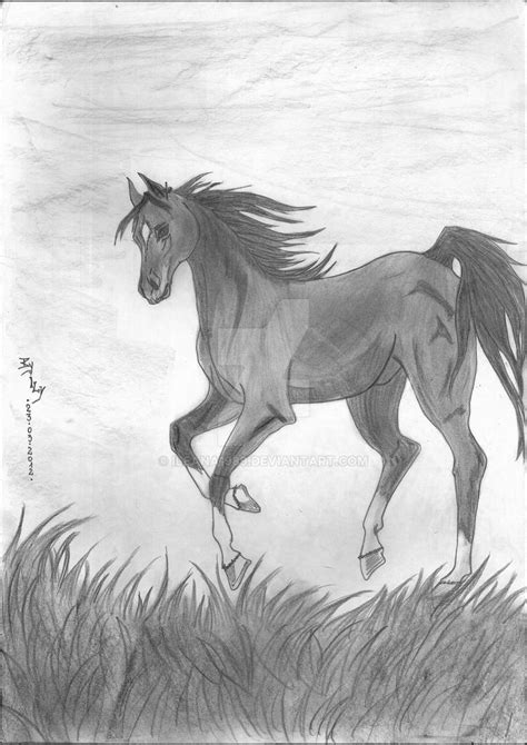 Joey - War Horse by Ileana1989 on DeviantArt