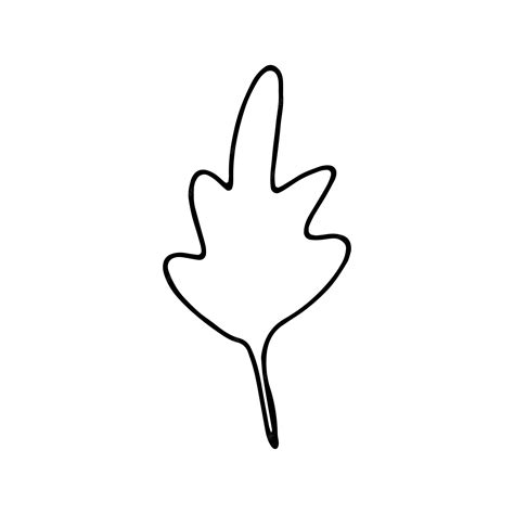 Premium Vector | Black linear oak fall leaf illustration hand drawing ...