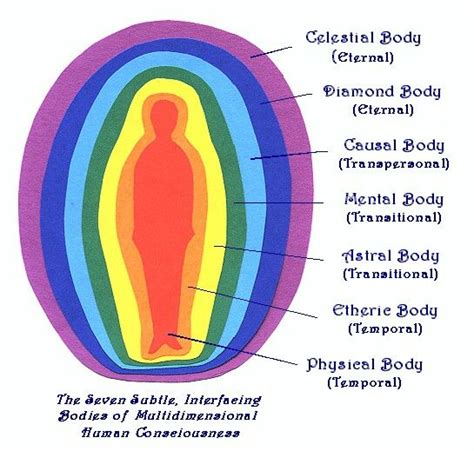 Seven subtle bodies | Etheric body, Body energy, Energy healing