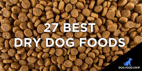 Best Dry Dog Food Brands 2024 - Vere Allissa