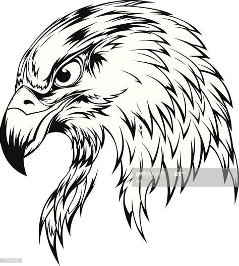 Eagle head vector illustration. Clip-art., tattoo, design element ...