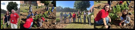 Rain Garden (Pollination Meadow) Now At Aldrin | Aldrin Elementary School