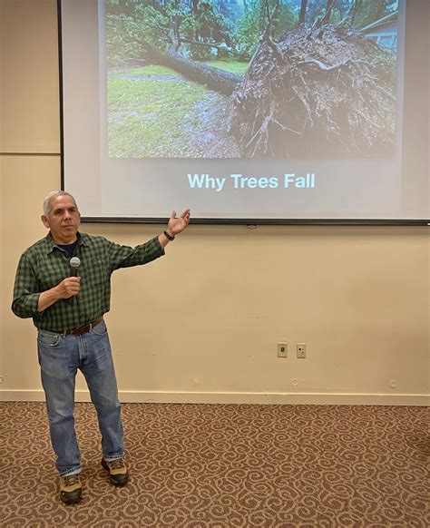 WHY TREES FALL — Friends of Carmel Forest