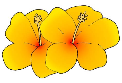 Hibiscus Flower Art - Cliparts.co
