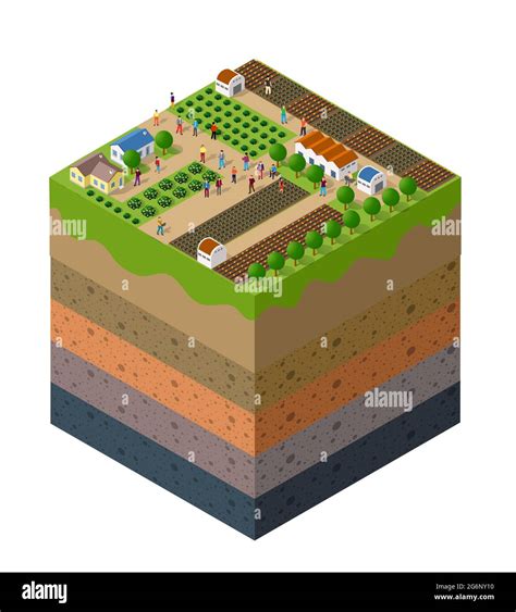 Forest farm Soil layers geological and underground Stock Vector Image ...