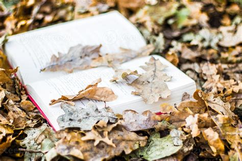 Book in autumn leaves 1374101 Stock Photo at Vecteezy