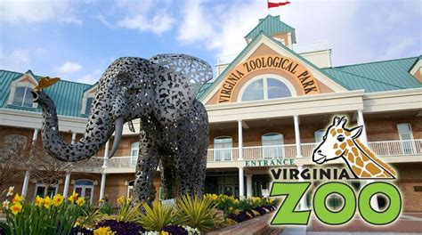 Virginia’s Best Zoos and Aquariums for Kids – Visit US