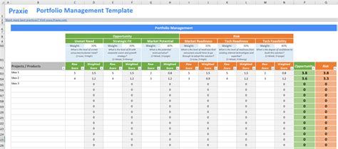 Project & Strategic Portfolio Management Template – Strategy Software ...