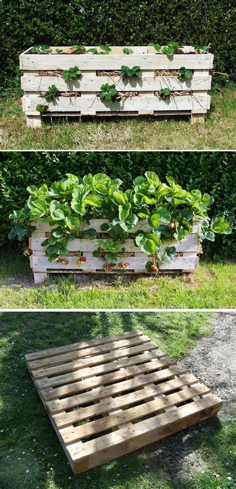 15 DIY Garden Planter Ideas Using Wood Pallets 2023