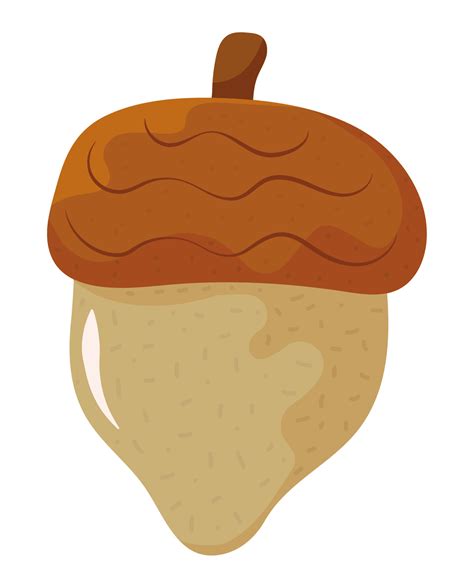 acorn nut icon 10423761 Vector Art at Vecteezy