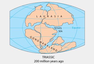 Pangea Supercontinent - Pangaea Supercontinent