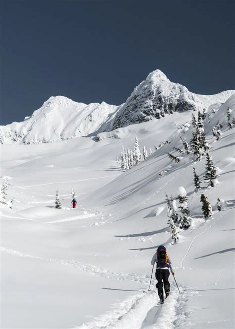 Skiing Avalanche Mountain, Rogers Pass: The Burn - Beyond Our Peak