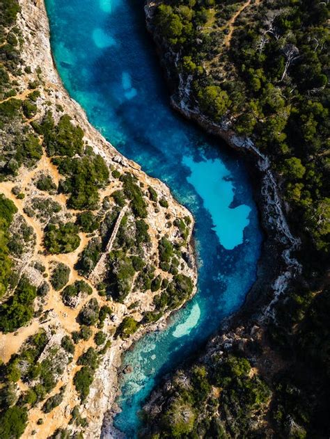 Tropical River in Birds Eye View · Free Stock Photo