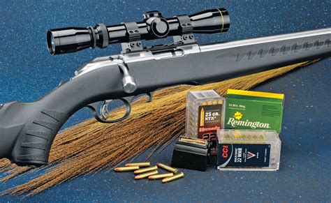 Review: Ruger American Rimfire Stainless - Rifle Shooter