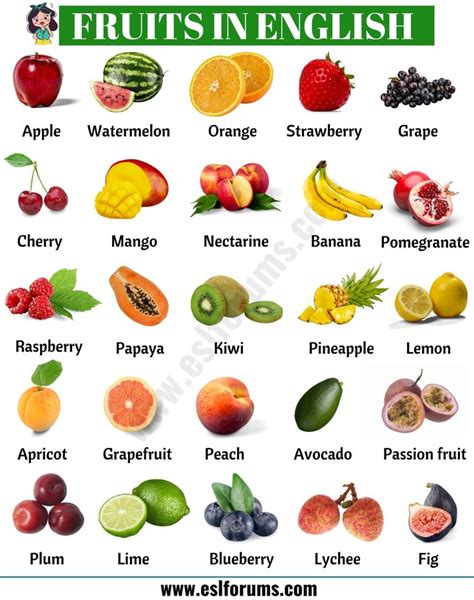 U Alphabet Fruit Name - armes