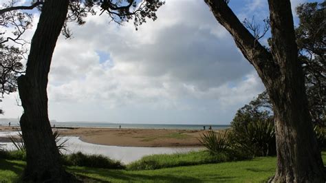 Long Bay Regional Park in Auckland