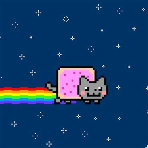 Twenty-Five Iconic Cat Memes And Pics Of The 2010s | Nyan cat, Neon cat, Cat memes