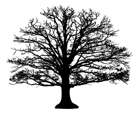 OnlineLabels Clip Art - Leafless Tree Silhouette