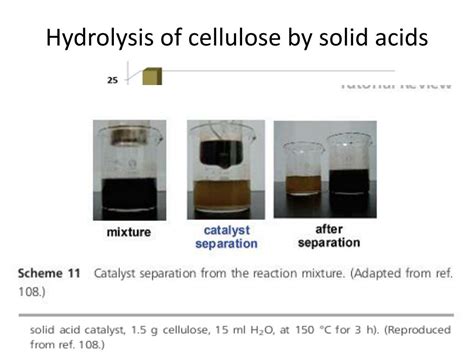 PPT - Hydrolysis of cellulose to glucose by solid acid catalysts PowerPoint Presentation - ID ...