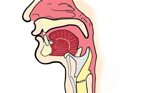 Upper Airway Obstruction symptoms, causes, treatment, medicine, prevention, diagnosis