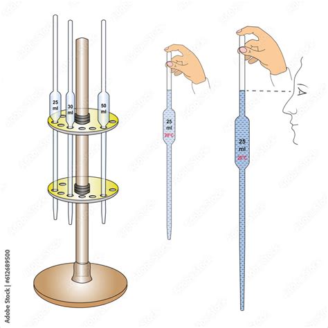 2D illustration of Mohr pipettes in a rack, the process of filling a ...