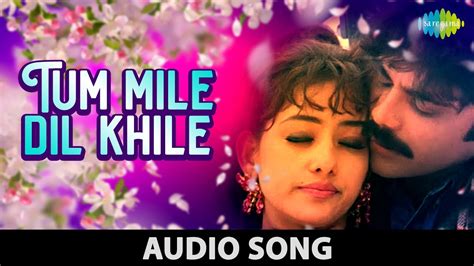 Tu Mile Dil Khile | Kumar Sanu | Alka Yagnik | Criminal | Nagarjuna | Manisha Koirala | Audio ...