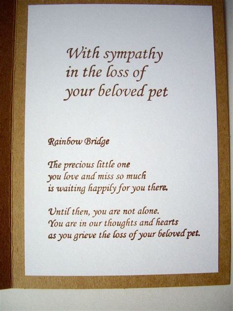 Pin by The Crafty Chimera on Pets | Pet sympathy quotes, Pet sympathy cards, Pet sympathy