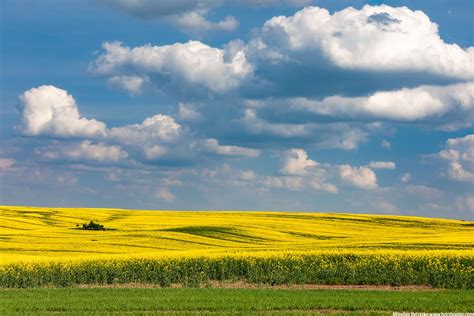 In the southern Moravia fields - HDRshooter