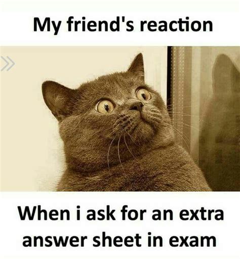 My friend’s reaction! When I ask for an extra answer sheet in exam. | Funny school memes, School ...