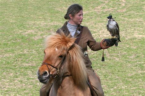 Falcon hunting on horseback - Falkonergården