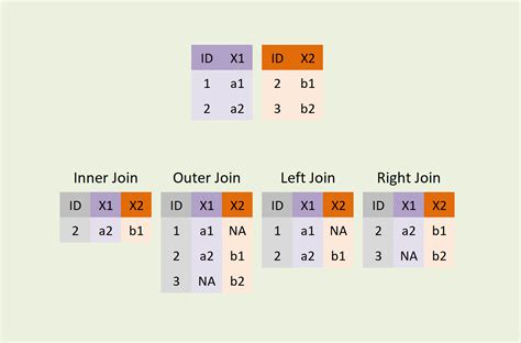 Merge Two pandas DataFrames in Python (6 Examples) (2022)