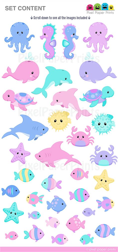 Cute Sea Animals Clipart Sea Creatures Clip Art Digital - Etsy