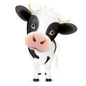 Little black and white cow (With images) | Cartoon cow, Cow cartoon ...