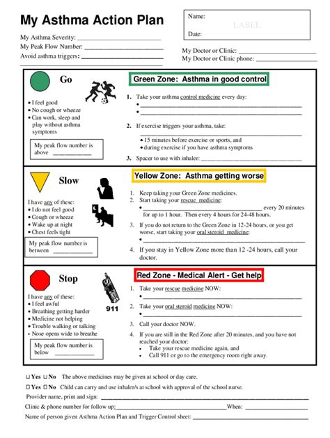 Fillable Online Using a Peak Flow Meter to Manage Asthma Fax Email Print - pdfFiller