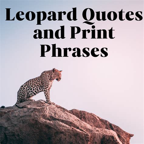 77 Powerful Leopard Quotes & Print Phrases - Darling Quote