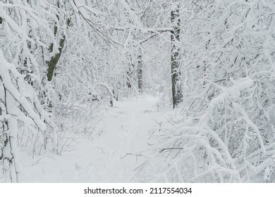 Heavy Snowfall Helsinki Photos and Images | Shutterstock