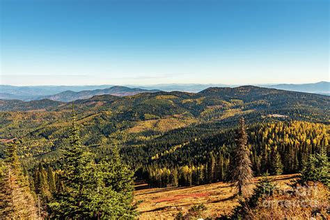 Mount Spokane State Park Photograph by Sam Judy - Fine Art America