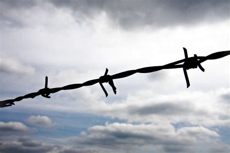 Free Images : branch, wing, fence, barbed wire, cloud, sky, wind, thorn ...