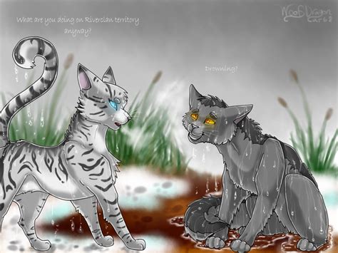 GRAYSTRIPE AND SILVERSTREAM by WoofyDragon on DeviantArt