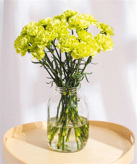 Order beautiful Guernsey Carnations online for UK & London Delivery – Guernsey Flowers by Post