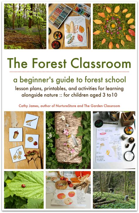 The Forest Classroom beginner’s guide to forest school | LaptrinhX / News