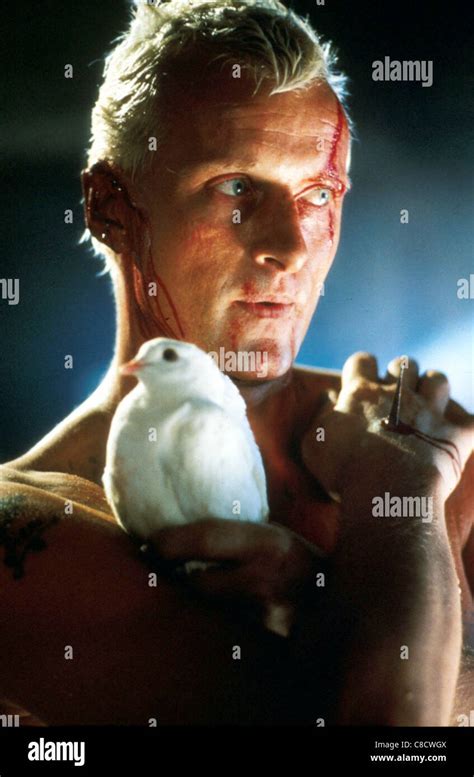 Blade Runner Rutger Hauer High Resolution Stock Photography and Images - Alamy