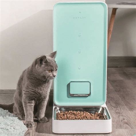 Cat Food Auto Delivery - Healthy Cat