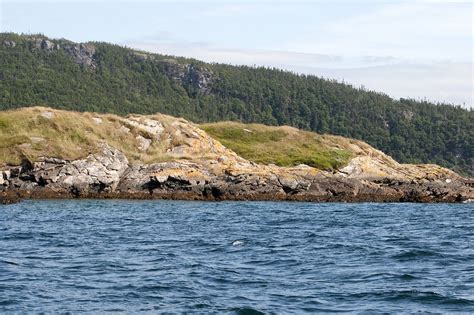 Bonavista Peninsula | New Bonaventure, Trinity Bight | Stephen Millar ...