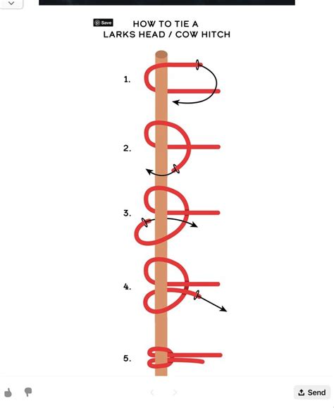 Cow hitch | Cow, Knots, Hitched