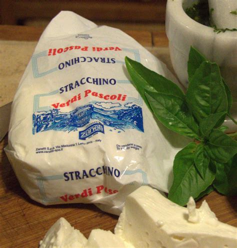 Italian Cheese Stracchino - SXMCooks