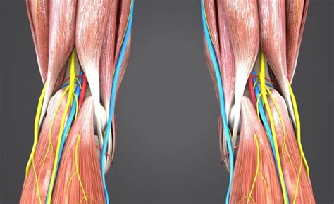 Pain behind knee: what should you do? - Sport Doctor London